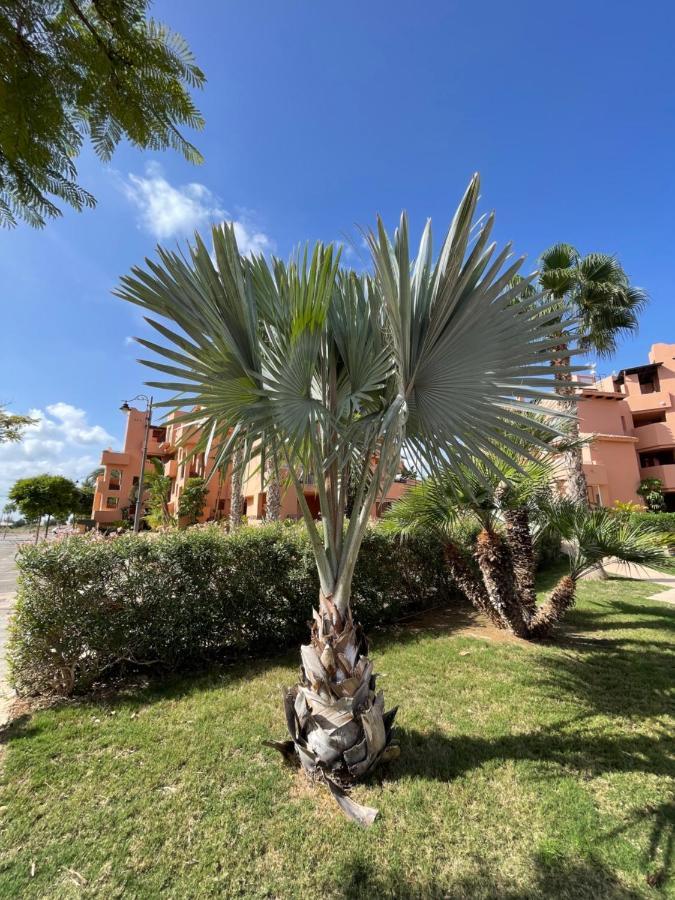 Spirit Of Mar Menor Apartment Torre-Pacheco Exterior photo